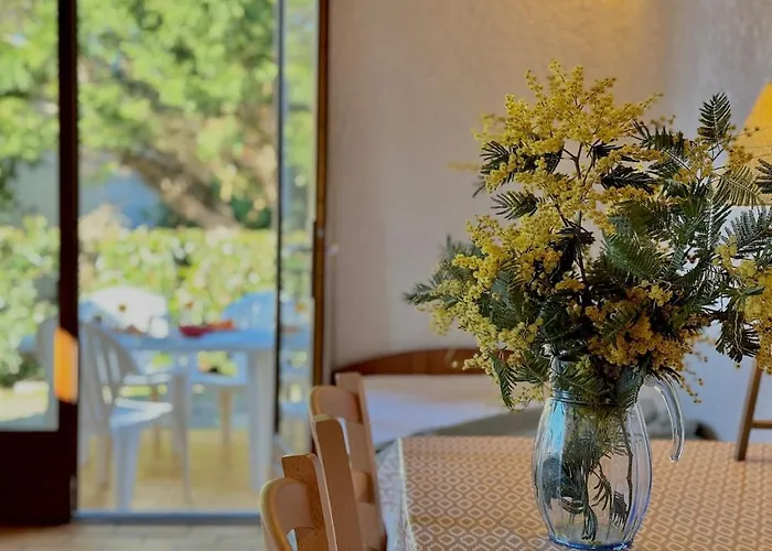 Colibri - A 500m Des Plages Lejlighed *