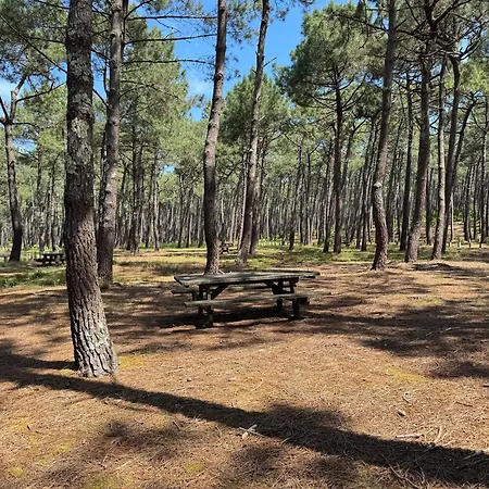 Apartman Colibri - A 500m Des Plages Mimizan-Plage